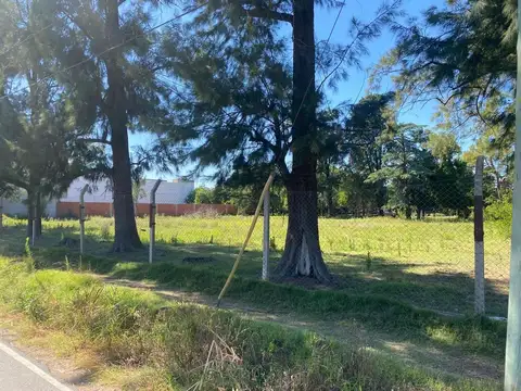 Terreno en Venta 55  mts Fondo