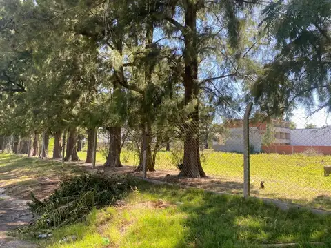 Pampa Y Misiones