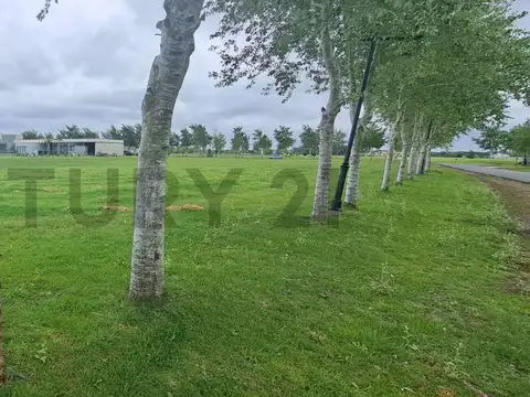 Terreno en Venta 50,36  mts Fondo