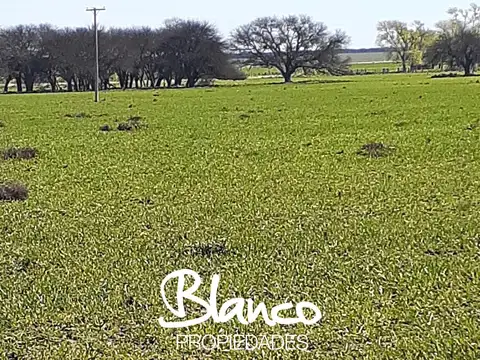 Campo  en Venta en Winifreda, La Pampa