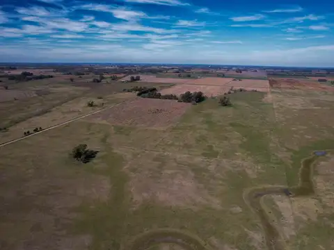 Campo de 83ha en Carlos Keen