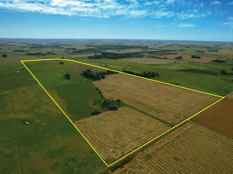 Campo de 83ha en Carlos Keen