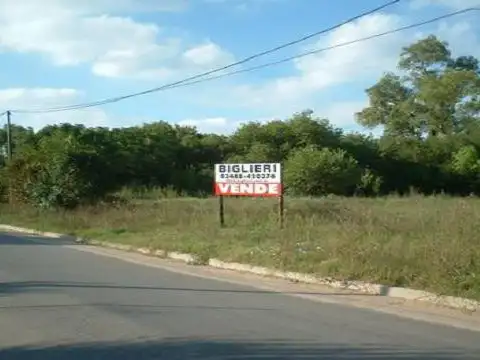 GELVES1300
