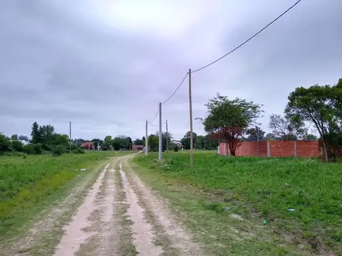GELVES1300