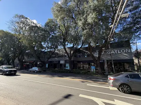 Local en Alquiler en Martínez Libertador / Río, USD 18.000