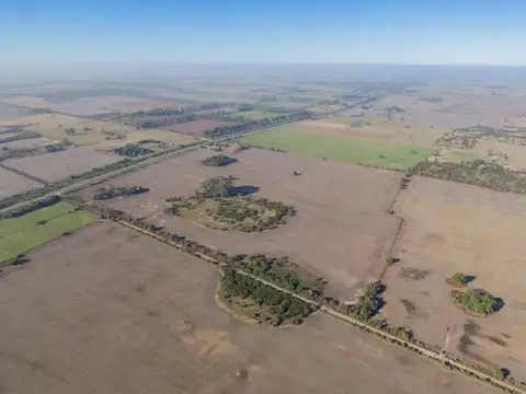 42 has de Campo Agrícola en Arroyo Aguiar