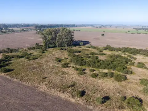 42 has de Campo Agrícola en Arroyo Aguiar