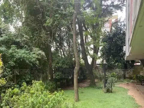 Albarellos 1000