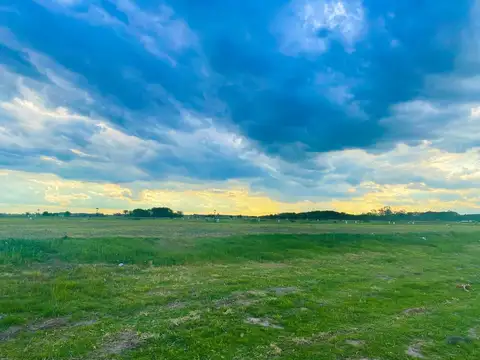 Terreno en Venta 33  mts Fondo