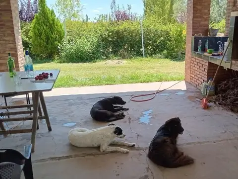 VENTA HERMOSA FINCA BOUTIQUE COLONIA ESPAÑOLA MDZ