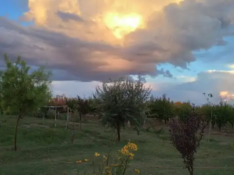 Ruta Provincial 154 100