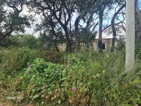 San Roque 1800, Cortaderas 100