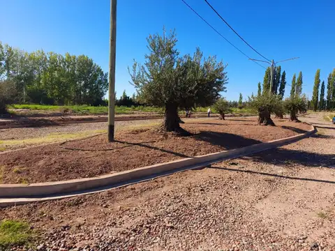 Terreno en Venta de 1000,0 m2