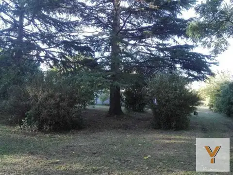 Terreno en Venta en Berisso, USD 125.000