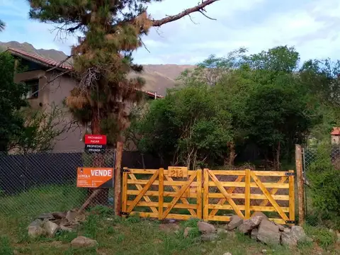 La Usina 200