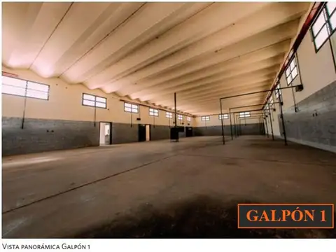 Circunvalación SUR - Predio 6771 mts² C/ 4 GALPONES + CASA