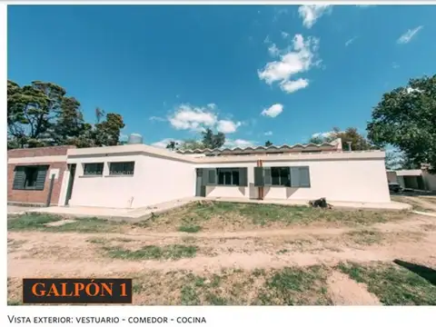 Circunvalación SUR - Predio 6771 mts² C/ 4 GALPONES + CASA