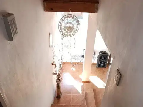 PLUMERILLO 100