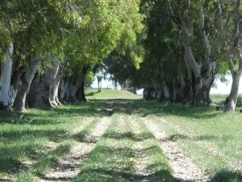 Terreno en Venta de 1630,0 m2