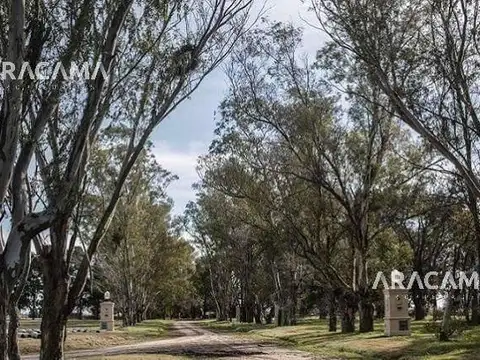 Lote en VENTA en Lagos de San Eliseo - San Vicente