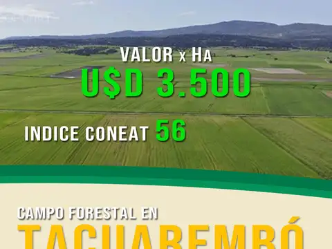 Campo en venta en Tacuarembó de 495 hectáreas