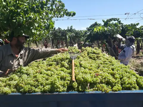 Finca en Ingeniero Gustavo Andre