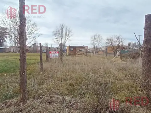 Terreno En Las Moras - Cinco Saltos