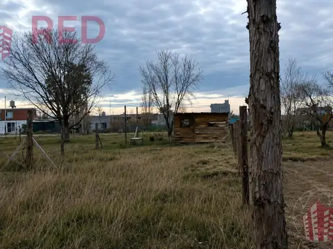 Terreno en Venta en Cinco Saltos, USD 11.000