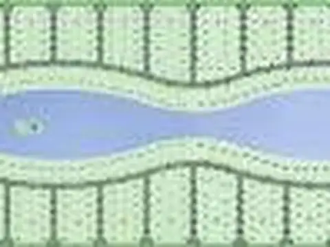 Terreno en Santa Rita