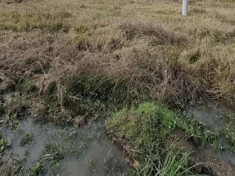 Avenida San Martin 800