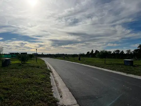 lotes en bella vista