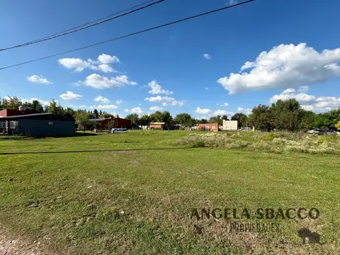 Estanislao Del Campo , Torres.