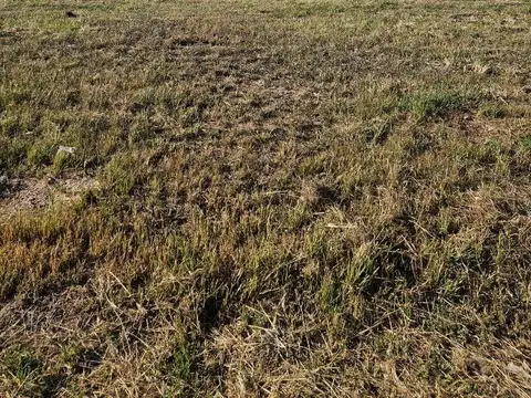 Terreno en Venta de 259,0 m2