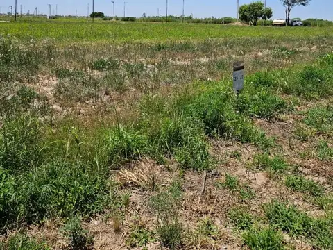 Terreno en Venta de 259,0 m2