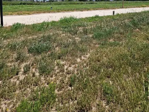 Abras De Manantiales