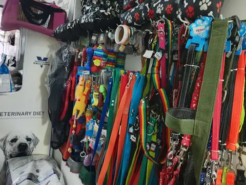 Aráoz 100