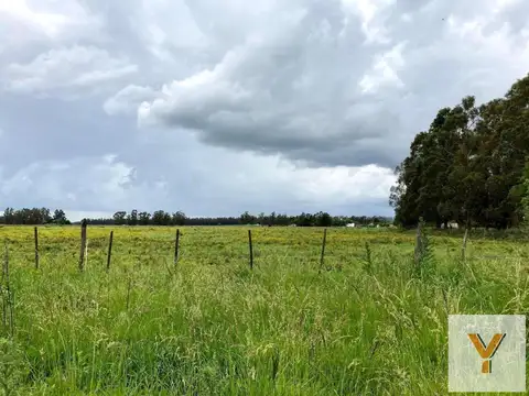 Campo en venta - 32.874Mts2 - Mechongue, General Alvarado