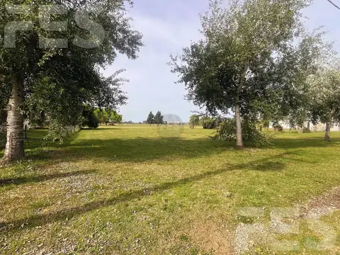 FINCAS DE SAN VICENTE GOLF