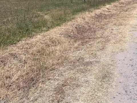 Terreno en Venta 49  mts Fondo