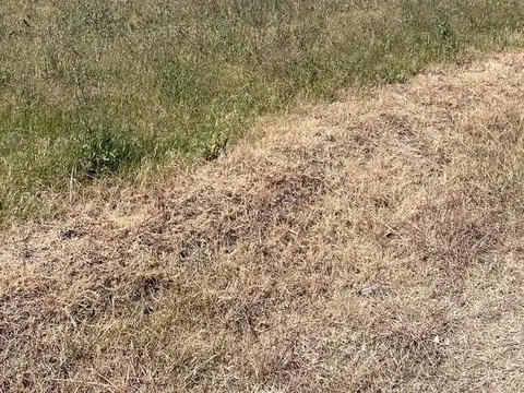 Terreno en Venta 20  mts Frente