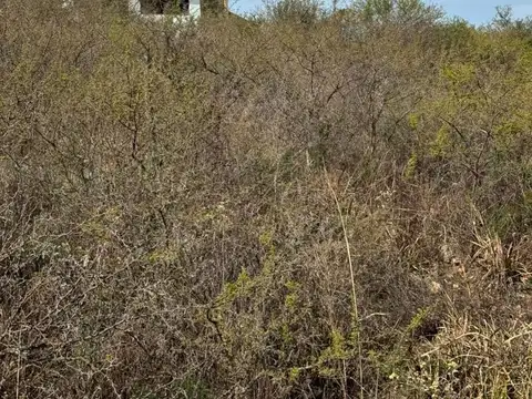 Terreno en Venta 45  mts Fondo