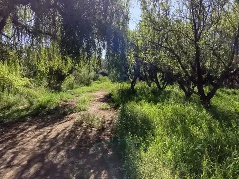 VENTA FINCA 3,5 ha CON 2 CASAS-EL PASTAL LAVALLE