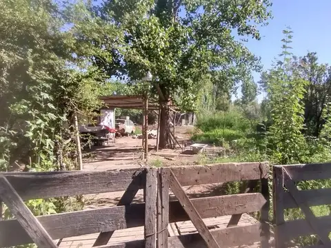 VENTA FINCA 3,5 ha CON 2 CASAS-EL PASTAL LAVALLE