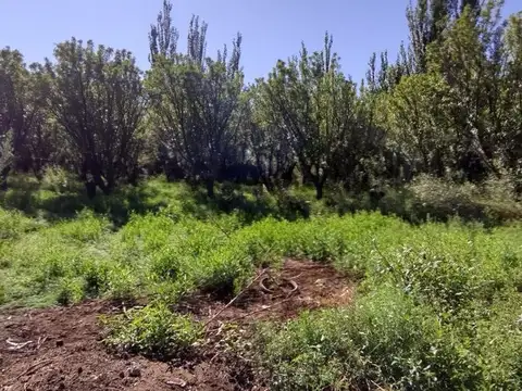 PUEBLA ESQ. COSTA CANAL