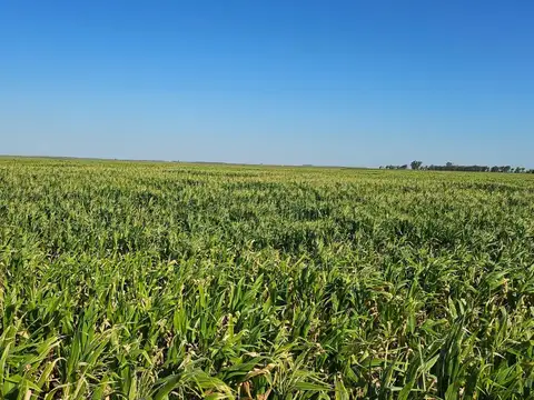 Venta Campo en General Soler