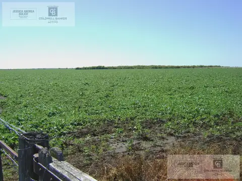 Campo en General Soler