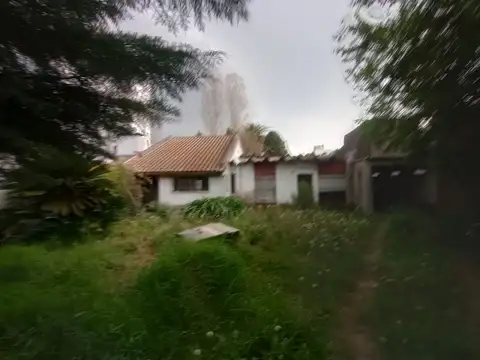 Arguero 800