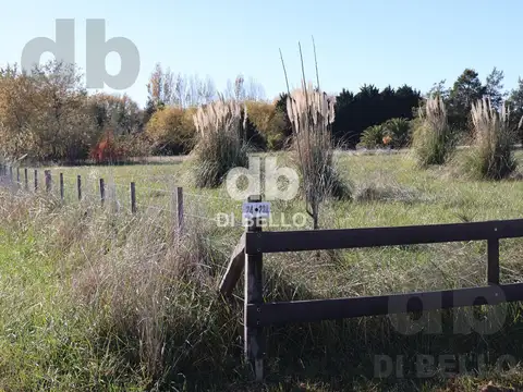 Chacra en Estancia Benquerencia