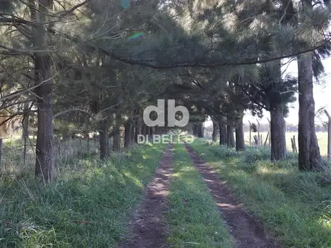 Chacra en Estancia Benquerencia