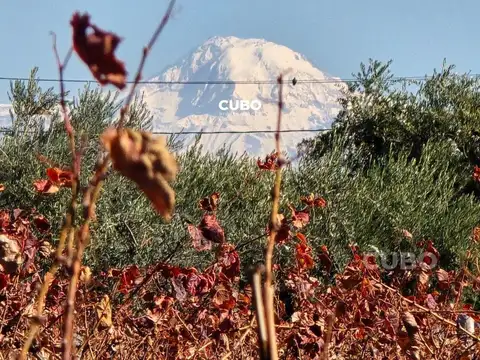 Franklin Villanueva s/n – Lunlunta – Maipú – Mendoza